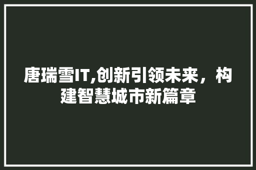 唐瑞雪IT,创新引领未来，构建智慧城市新篇章