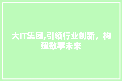 大IT集团,引领行业创新，构建数字未来