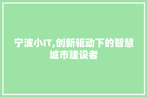 宁波小IT,创新驱动下的智慧城市建设者