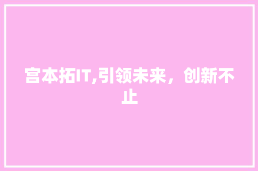 宫本拓IT,引领未来，创新不止