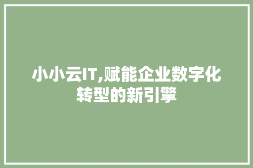 小小云IT,赋能企业数字化转型的新引擎