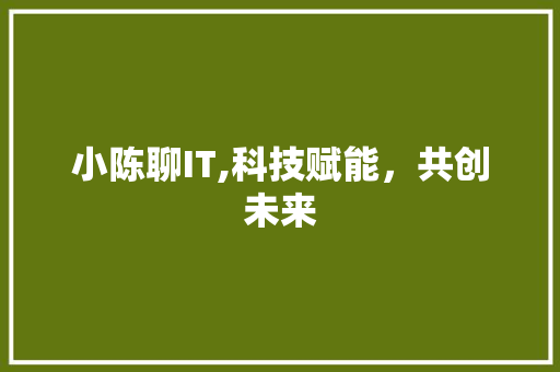 小陈聊IT,科技赋能，共创未来