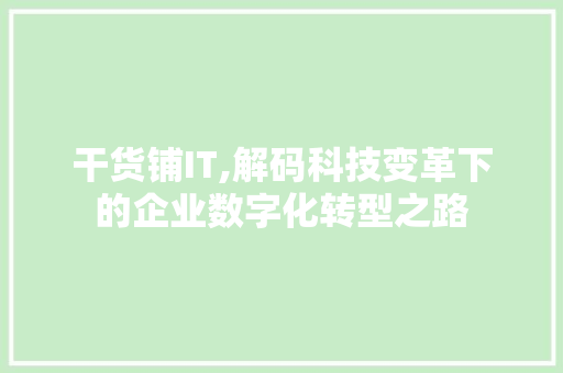 干货铺IT,解码科技变革下的企业数字化转型之路