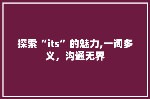 探索“its”的魅力,一词多义，沟通无界