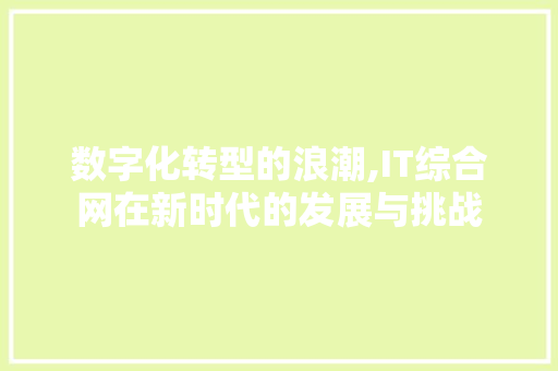 数字化转型的浪潮,IT综合网在新时代的发展与挑战