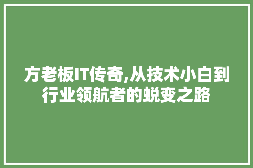 方老板IT传奇,从技术小白到行业领航者的蜕变之路