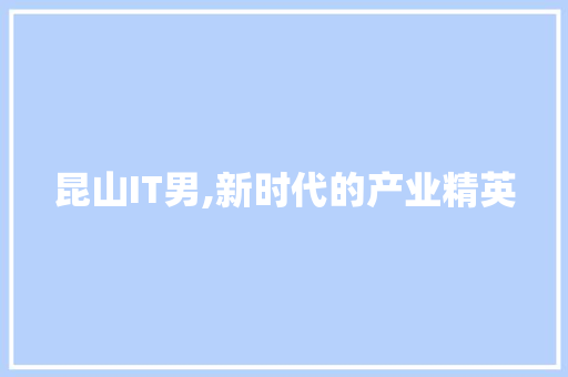 昆山IT男,新时代的产业精英