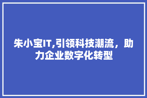 朱小宝IT,引领科技潮流，助力企业数字化转型