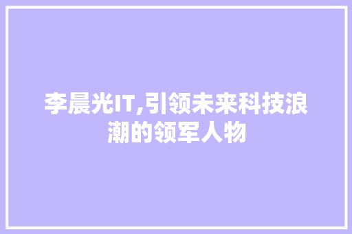 李晨光IT,引领未来科技浪潮的领军人物