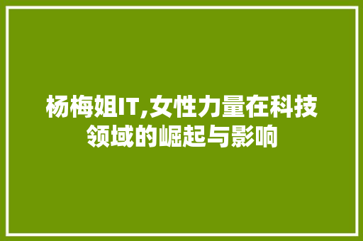 杨梅姐IT,女性力量在科技领域的崛起与影响