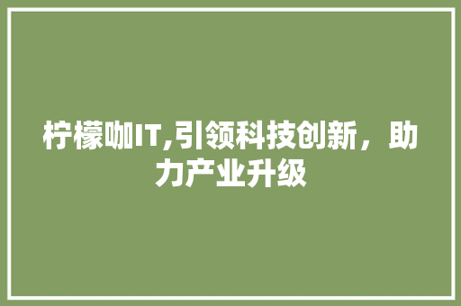 柠檬咖IT,引领科技创新，助力产业升级