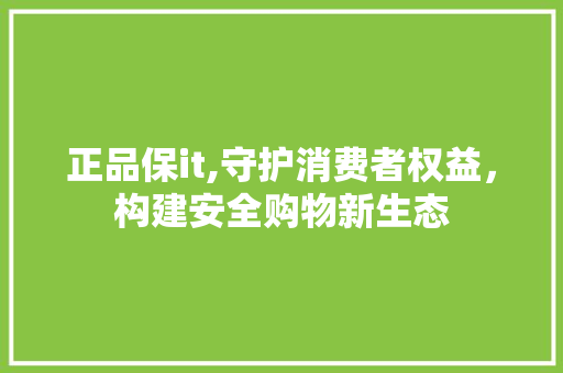 正品保it,守护消费者权益，构建安全购物新生态