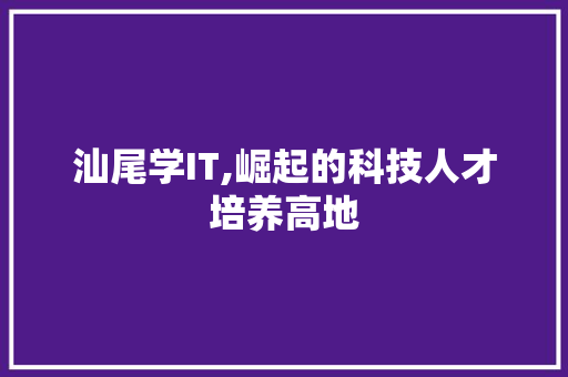 汕尾学IT,崛起的科技人才培养高地