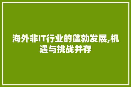 海外非IT行业的蓬勃发展,机遇与挑战并存