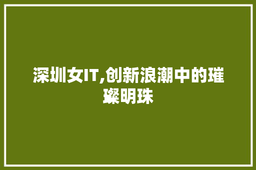 深圳女IT,创新浪潮中的璀璨明珠