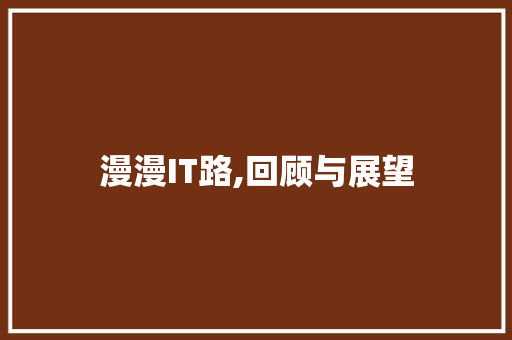 漫漫IT路,回顾与展望