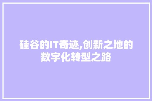 硅谷的IT奇迹,创新之地的数字化转型之路