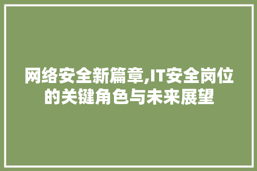 网络安全新篇章,IT安全岗位的关键角色与未来展望