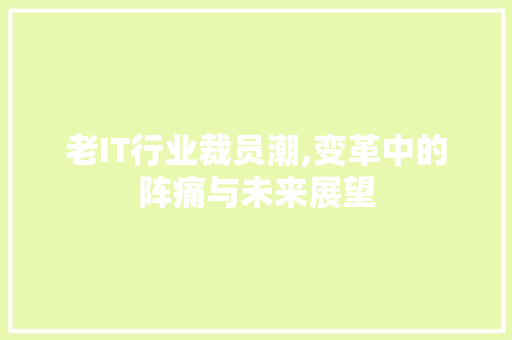 老IT行业裁员潮,变革中的阵痛与未来展望