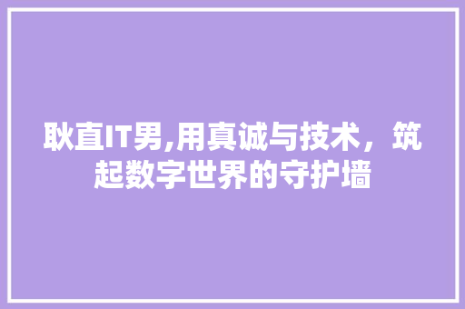 耿直IT男,用真诚与技术，筑起数字世界的守护墙
