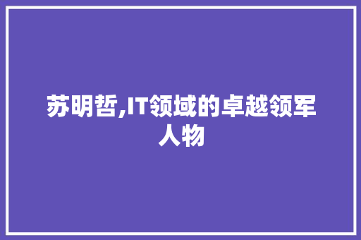 苏明哲,IT领域的卓越领军人物