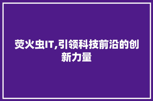 荧火虫IT,引领科技前沿的创新力量