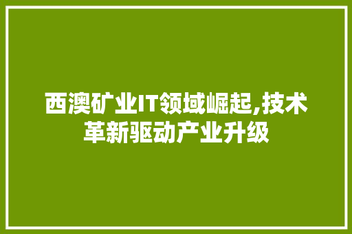西澳矿业IT领域崛起,技术革新驱动产业升级