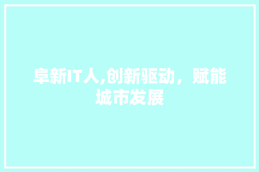 阜新IT人,创新驱动，赋能城市发展
