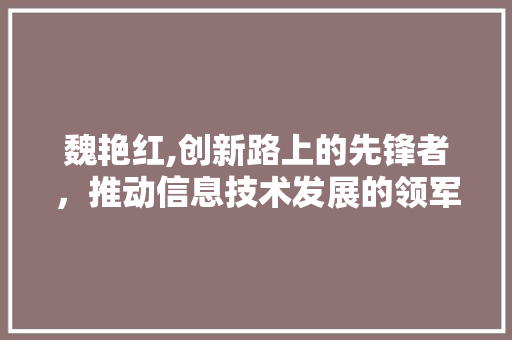 魏艳红,创新路上的先锋者，推动信息技术发展的领军人物
