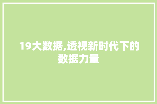 19大数据,透视新时代下的数据力量
