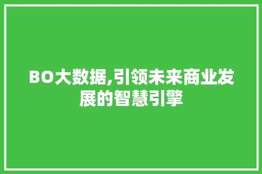 BO大数据,引领未来商业发展的智慧引擎