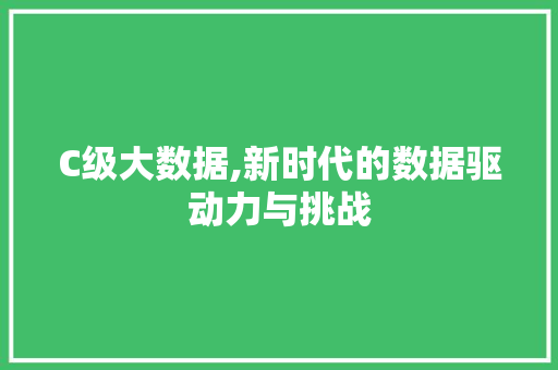 C级大数据,新时代的数据驱动力与挑战