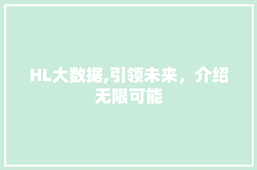 HL大数据,引领未来，介绍无限可能