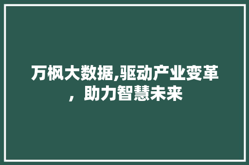 万枫大数据,驱动产业变革，助力智慧未来