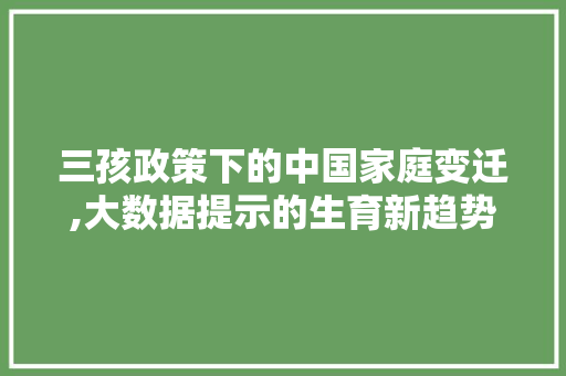 三孩政策下的中国家庭变迁,大数据提示的生育新趋势