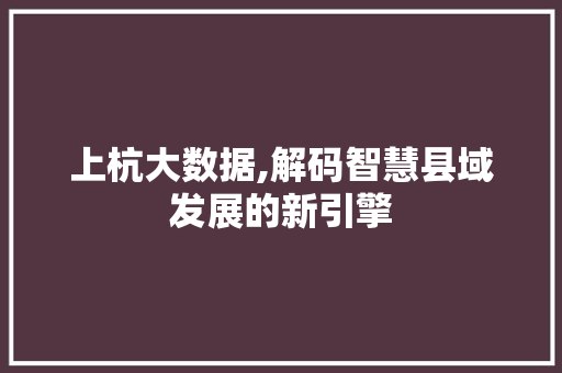 上杭大数据,解码智慧县域发展的新引擎