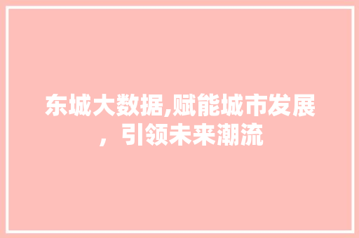 东城大数据,赋能城市发展，引领未来潮流