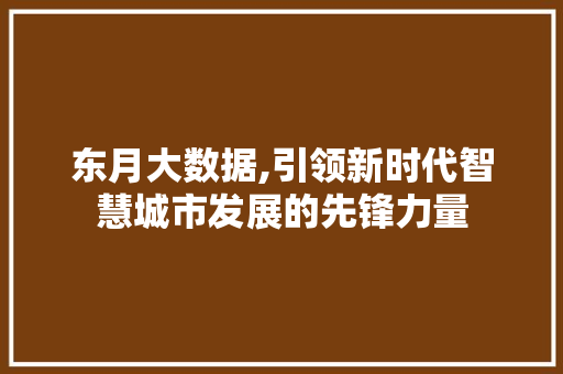 东月大数据,引领新时代智慧城市发展的先锋力量