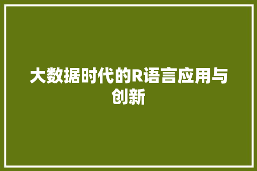 大数据时代的R语言应用与创新