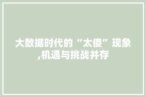 大数据时代的“太傻”现象,机遇与挑战并存