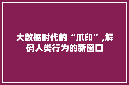 大数据时代的“爪印”,解码人类行为的新窗口