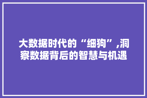 大数据时代的“细狗”,洞察数据背后的智慧与机遇