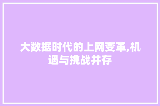 大数据时代的上网变革,机遇与挑战并存