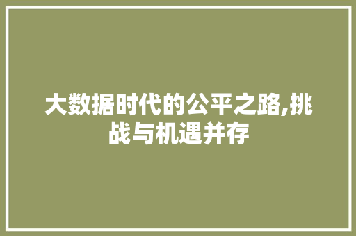 大数据时代的公平之路,挑战与机遇并存