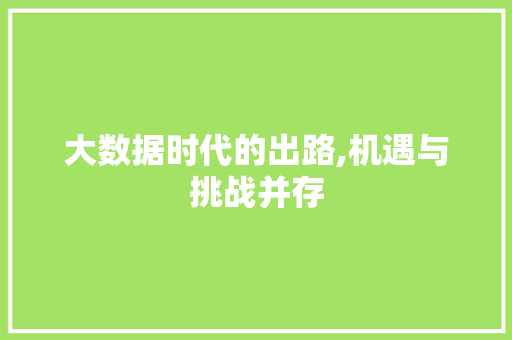 大数据时代的出路,机遇与挑战并存