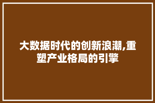 大数据时代的创新浪潮,重塑产业格局的引擎