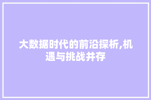 大数据时代的前沿探析,机遇与挑战并存