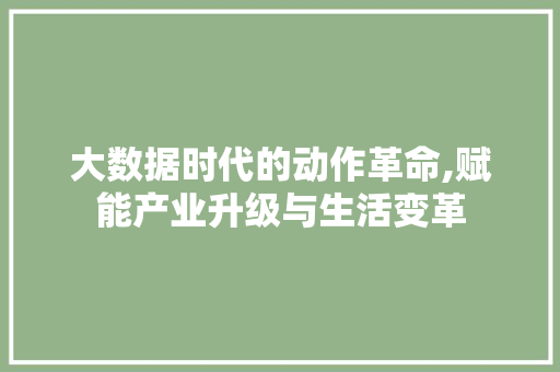 大数据时代的动作革命,赋能产业升级与生活变革