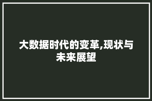 大数据时代的变革,现状与未来展望