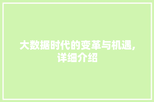 大数据时代的变革与机遇,详细介绍